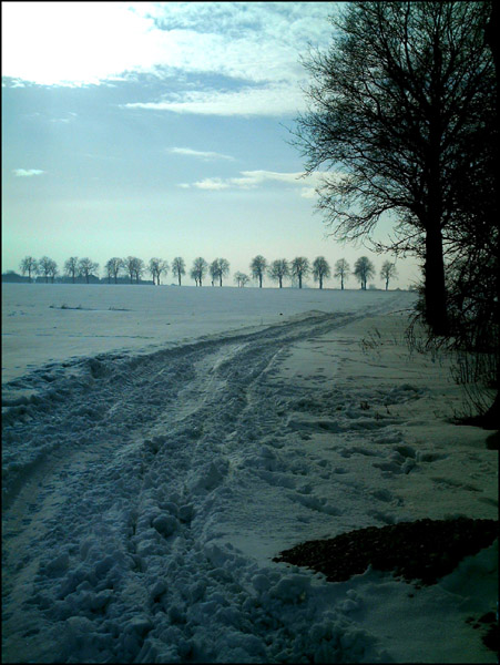 Road in snow