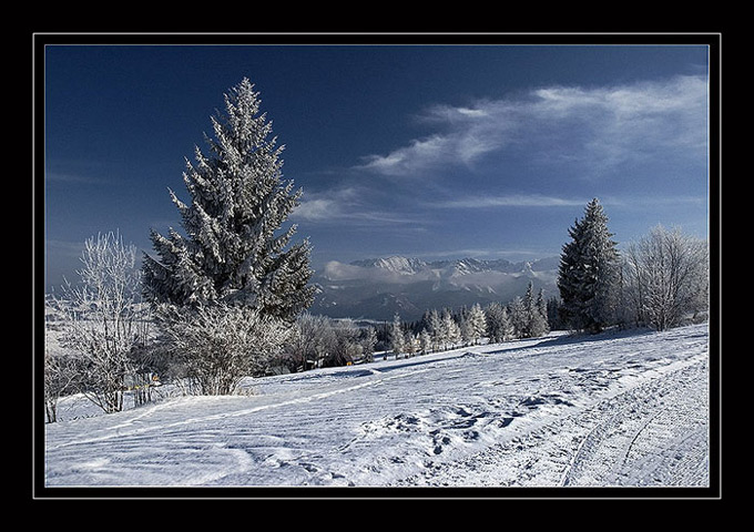 Kotelnica