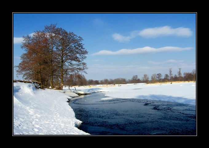 Narew zimową porą