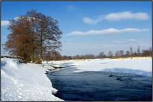 Narew zimową porą