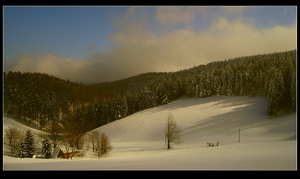 chatka... Tygryska