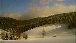 chatka... Tygryska