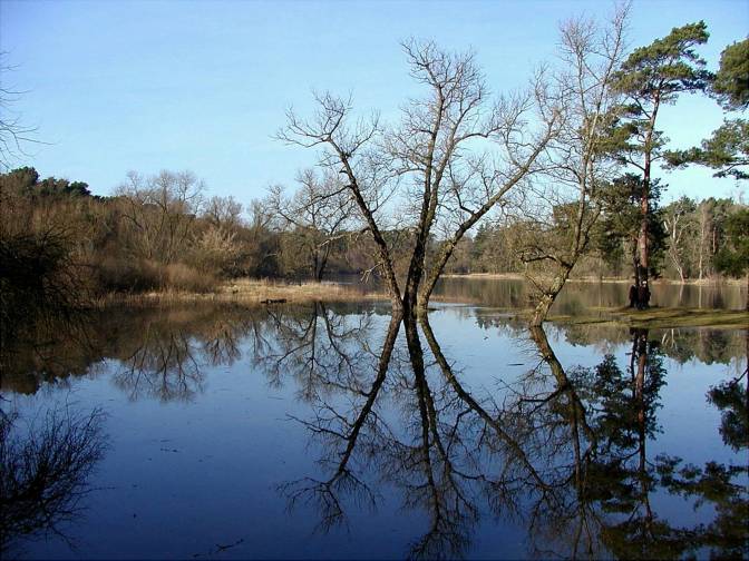 Wiosna nad Wartą