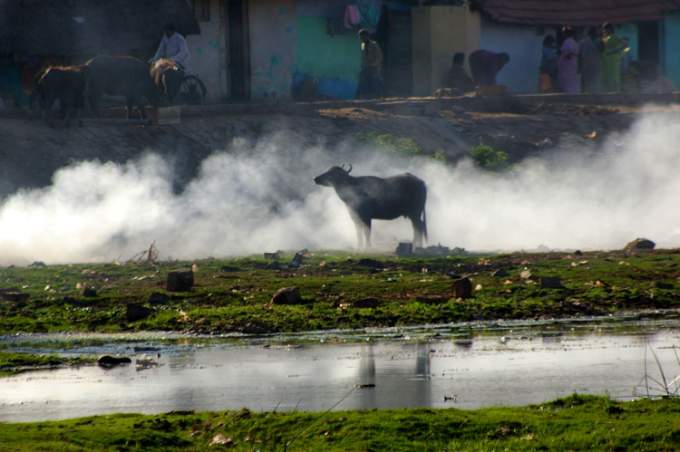 madurai - indie