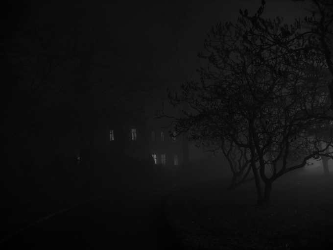 Foggy Night