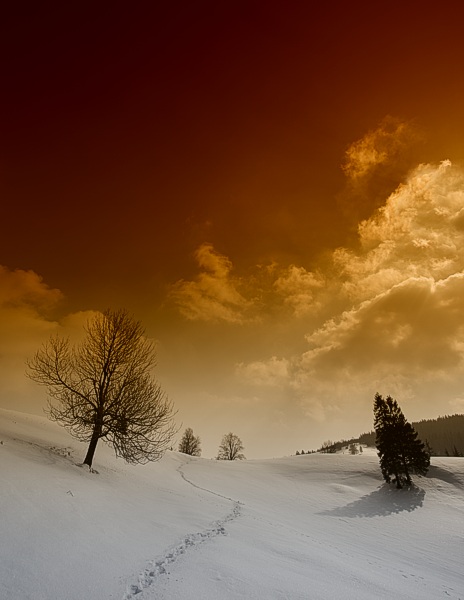 Małe Pieniny - cz. kolejna :-)