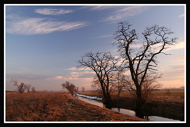 Przedwiośnie