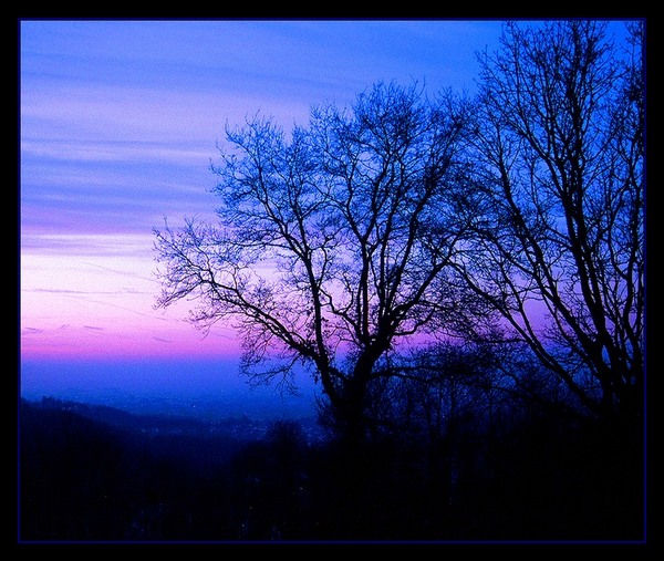 Mon matin parisien...