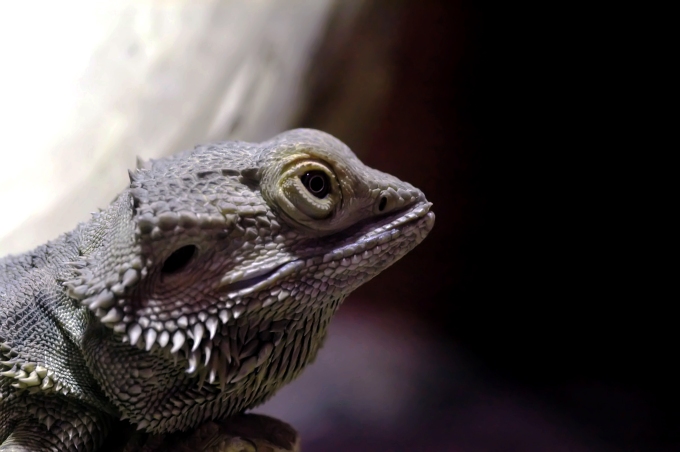 W terarium - Łódzkie ZOO