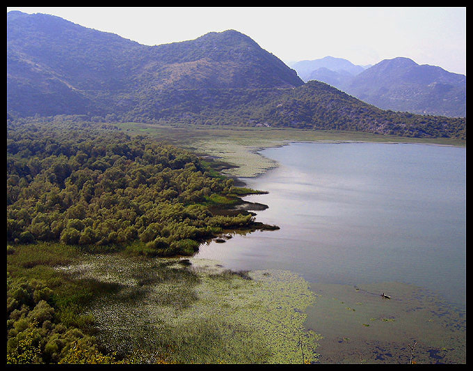 skadarsko jezero