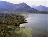 skadarsko jezero