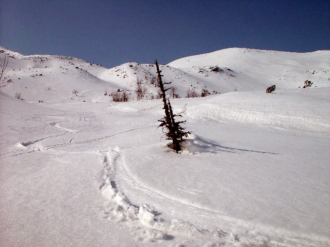 Tatry