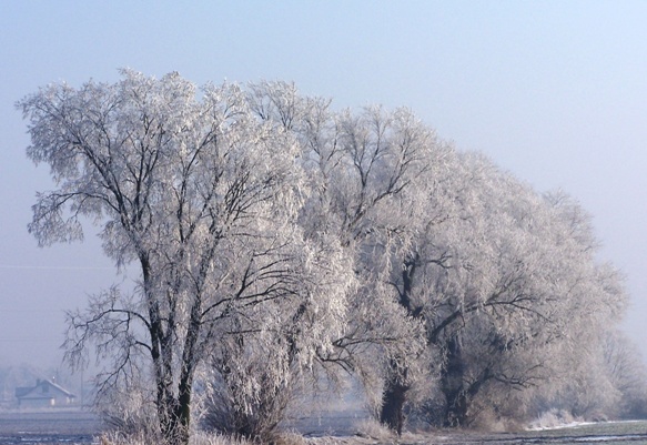 to była zima