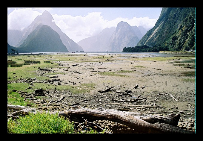 Milford Sound w poludnie