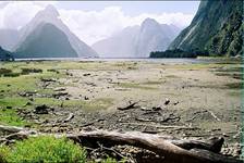 Milford Sound w poludnie