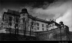 Wawel (B&W)