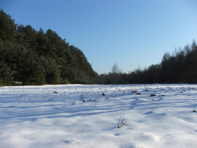 Zimowe południe