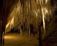 Hastings Caves - Tasmania