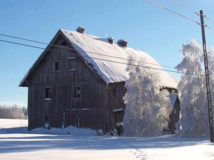 Lasowka inne ujecie