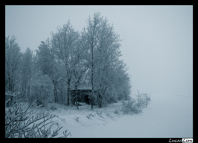 Drogą do Samotni