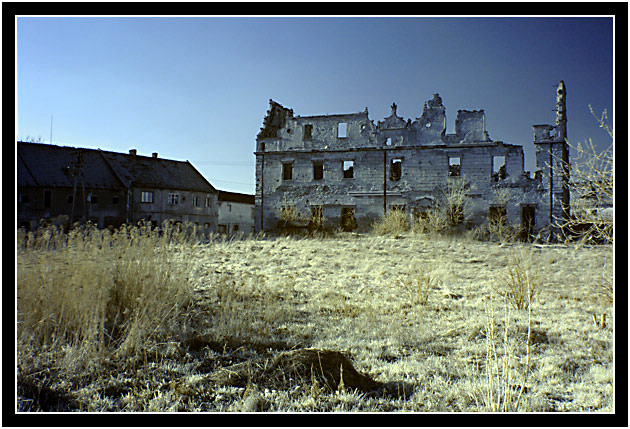 Świat podczerwony.