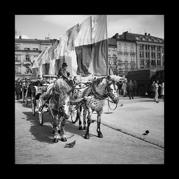 Kraków codzienny #12