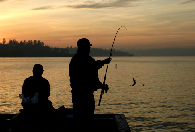 rybka na kolacje, Lake Washington