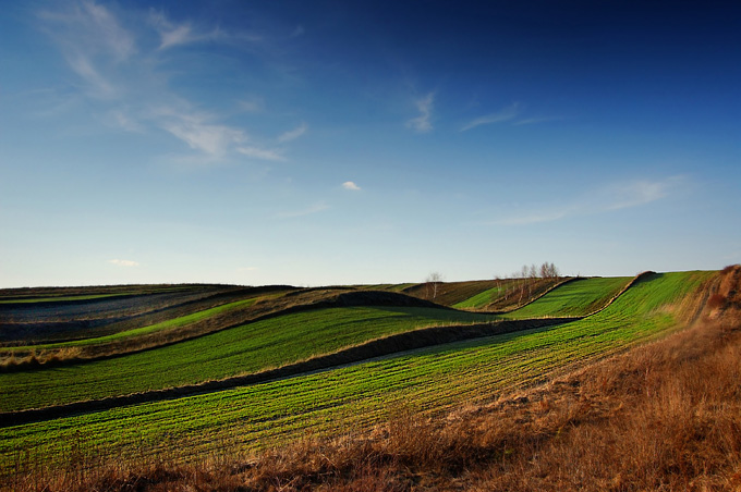 zamojska idylla