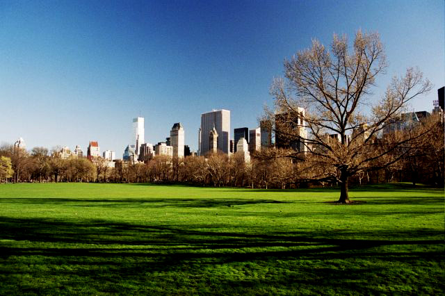 Sheep_Meadow_Central_Park