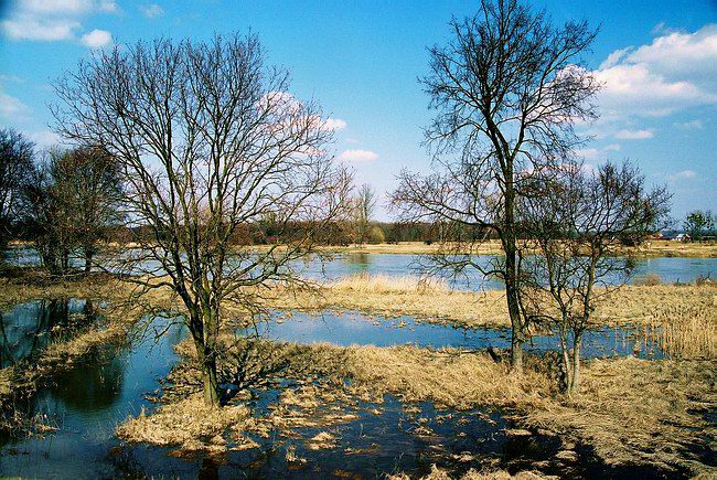 Odra mokrego przedwiośnia