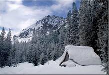 Tatry - Dolina Roztoki