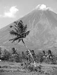 Filipiny. Monte Mayon