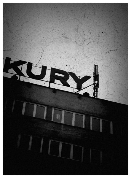 kury