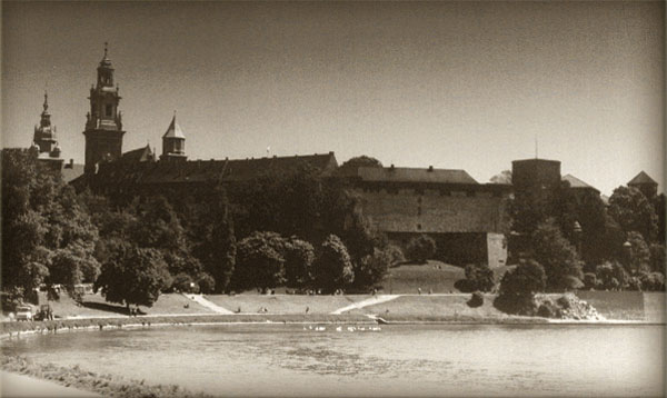 wawel