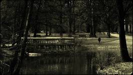 Wrocław - park południowy