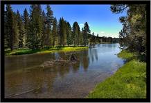 Yellowstone