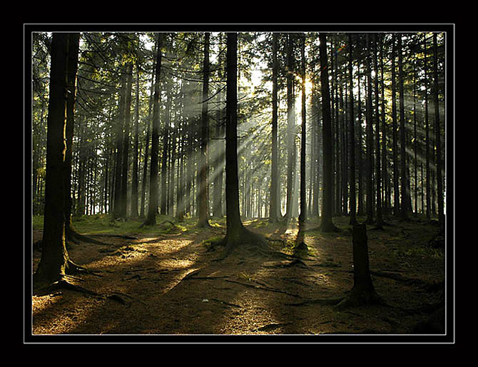 Zakopiańskie klimaty