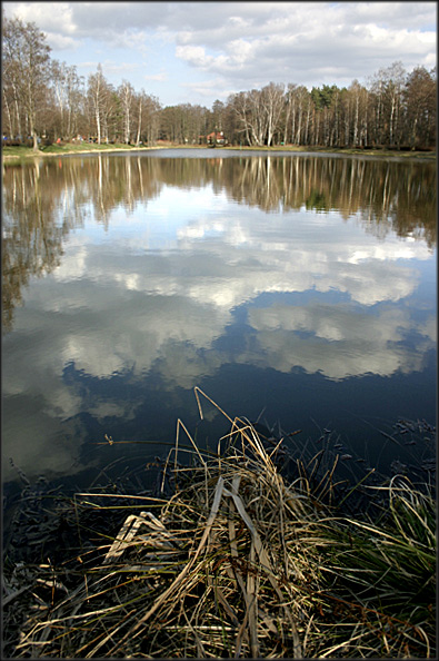 Sokolniki