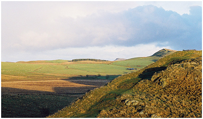 winter landscape