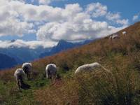 Tatry, Rusinowa Polana