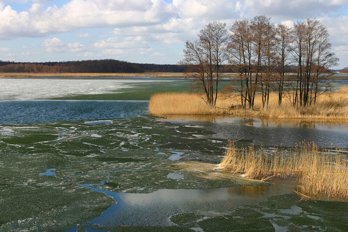 przedwiośnie