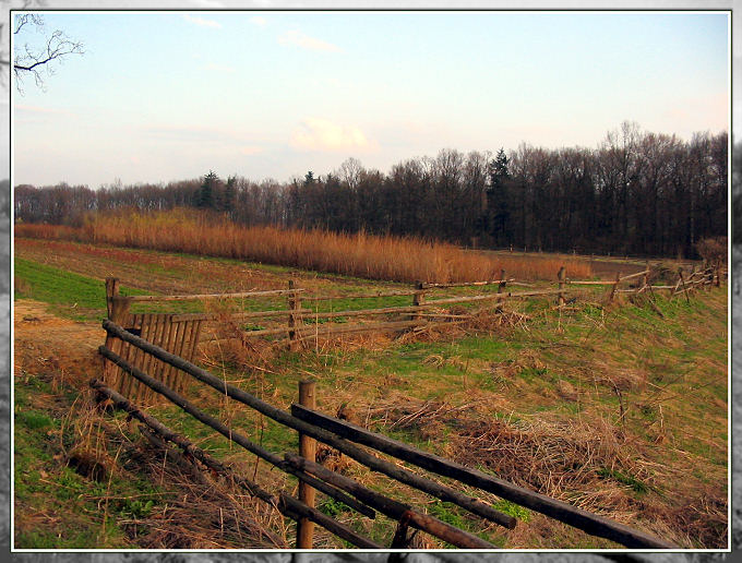 Wsi spokojna, wsi wesoła