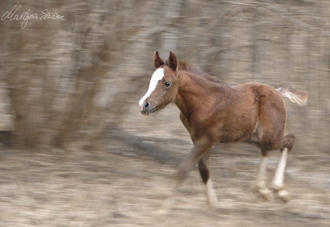 No Name in Run