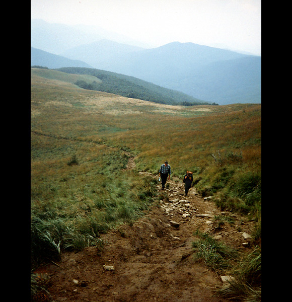 Deszczowe bieszczady