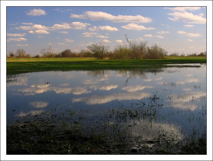 Wiosenne refleksy