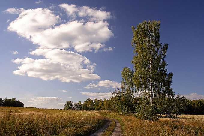 Sierpień - Gronity k. Olsztyna