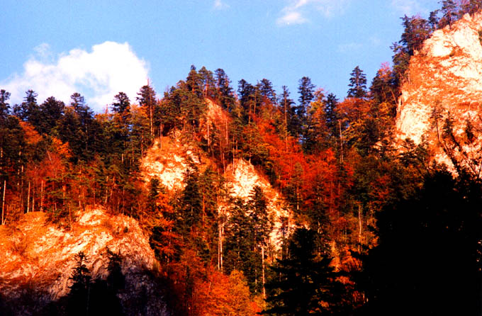 PIENINY