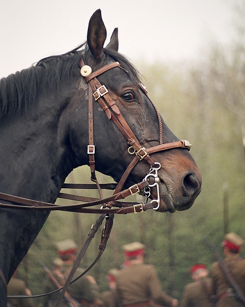 Dni Ułana, cytadela poznańska 23.04.2006