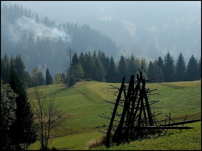 trochę jesieni wiosną...