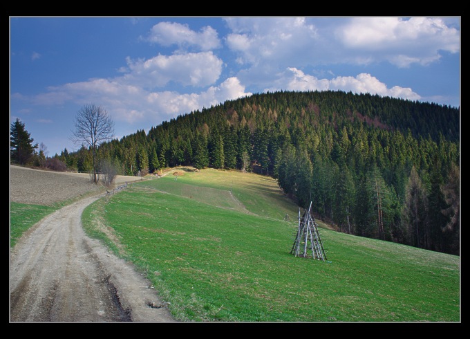 Trochę zieleni